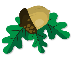 Principal Post Application