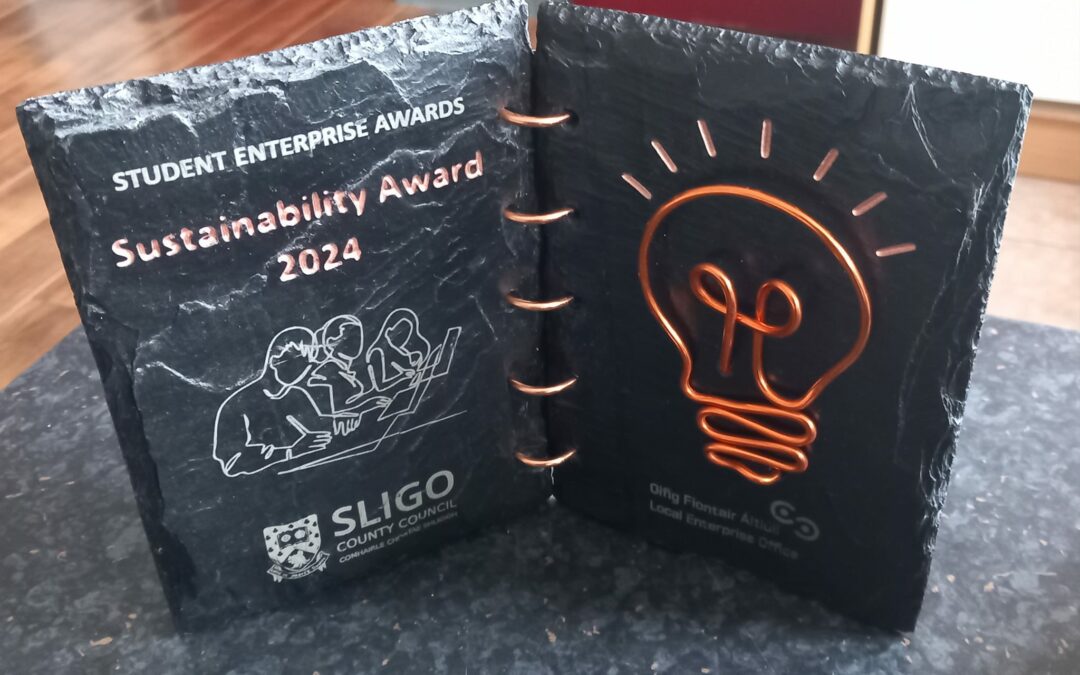Sligo Student Enterprise County Final Awards